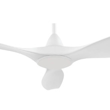 Noosa DC Ceiling Fan